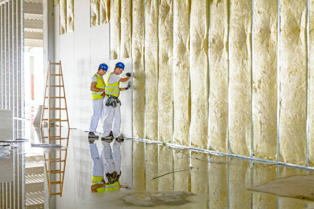 Professional Insulation Contractor in LA